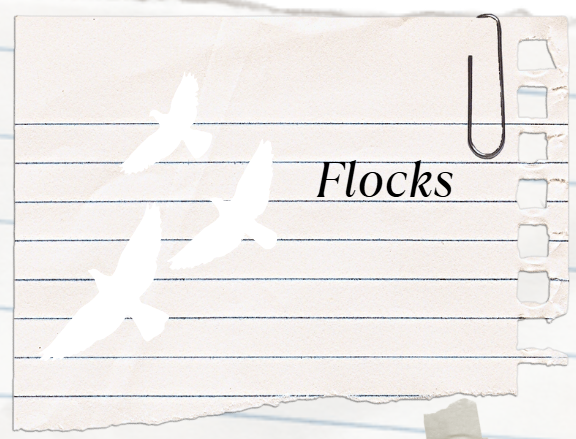 Screenshot 4 for The School of Avian Magics