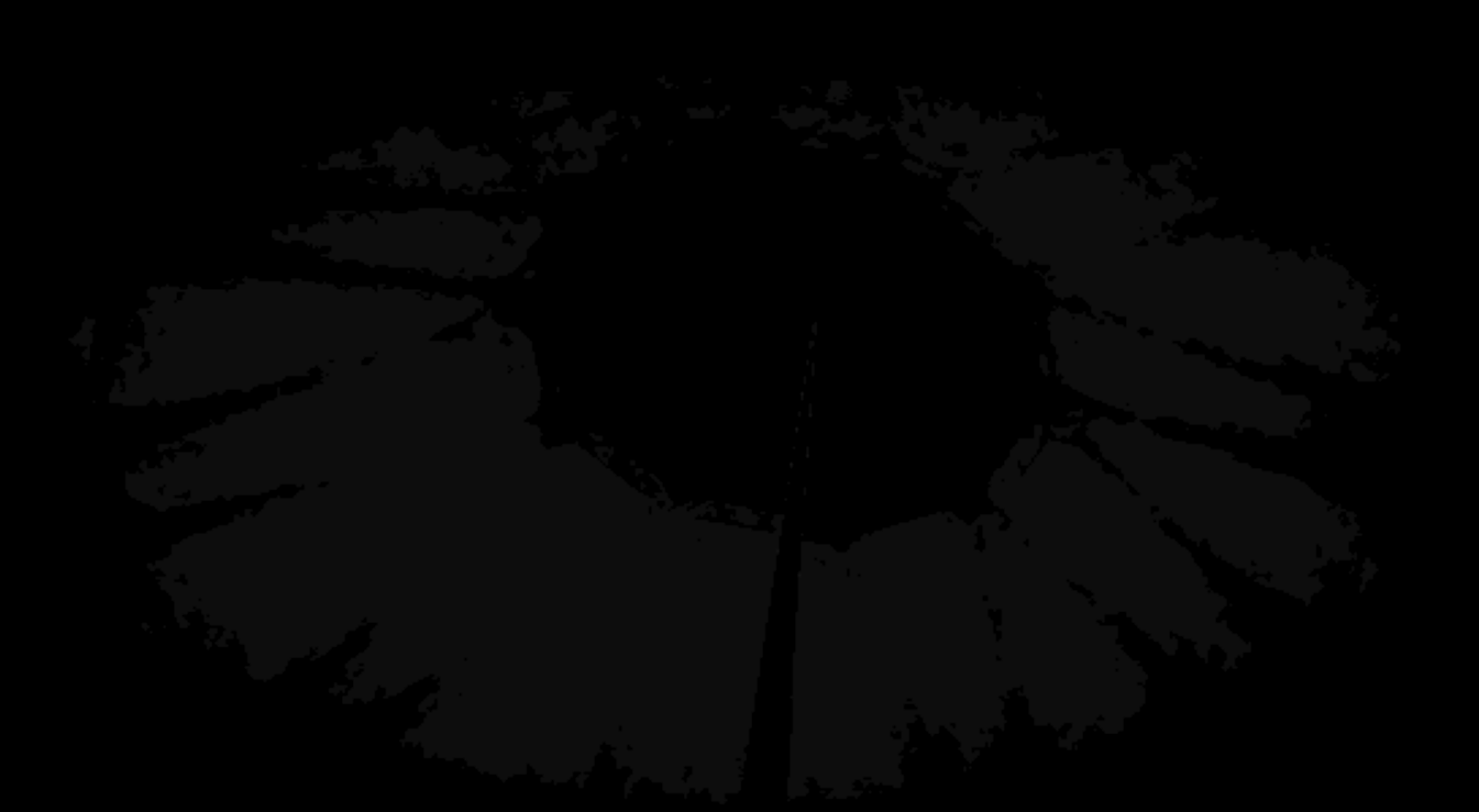 Screenshot 2 for Silence in the forest