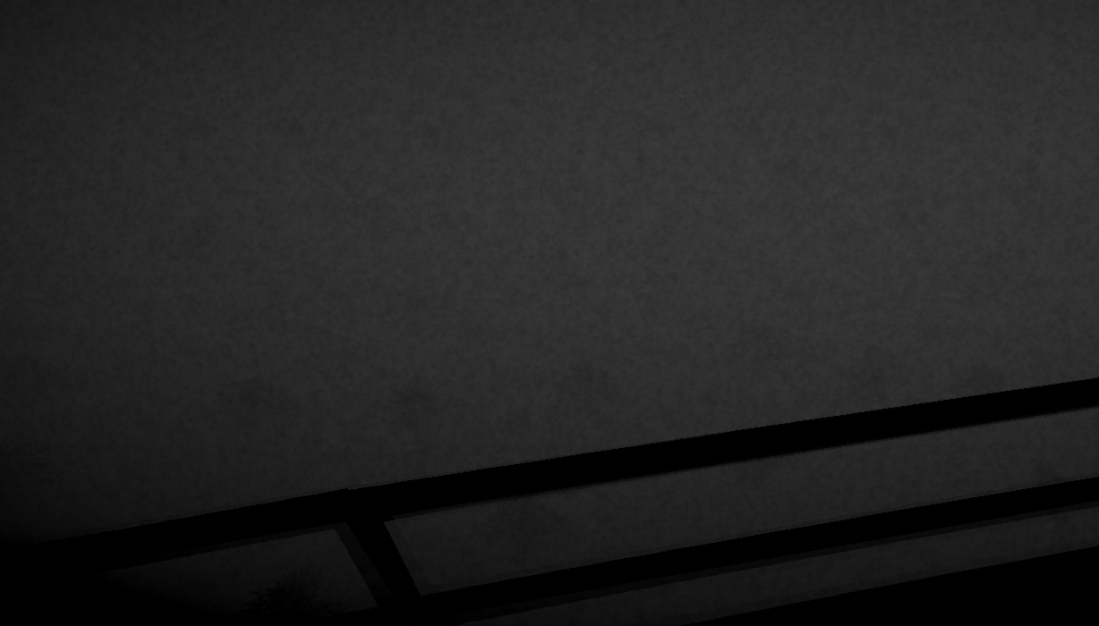Screenshot 7 for Silence in the forest