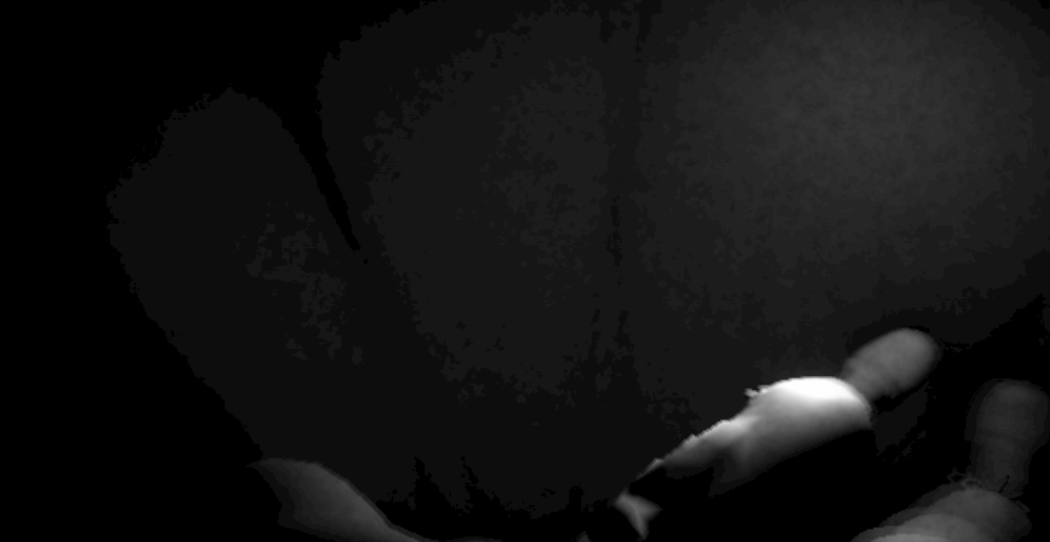 Screenshot 5 for Silence in the forest