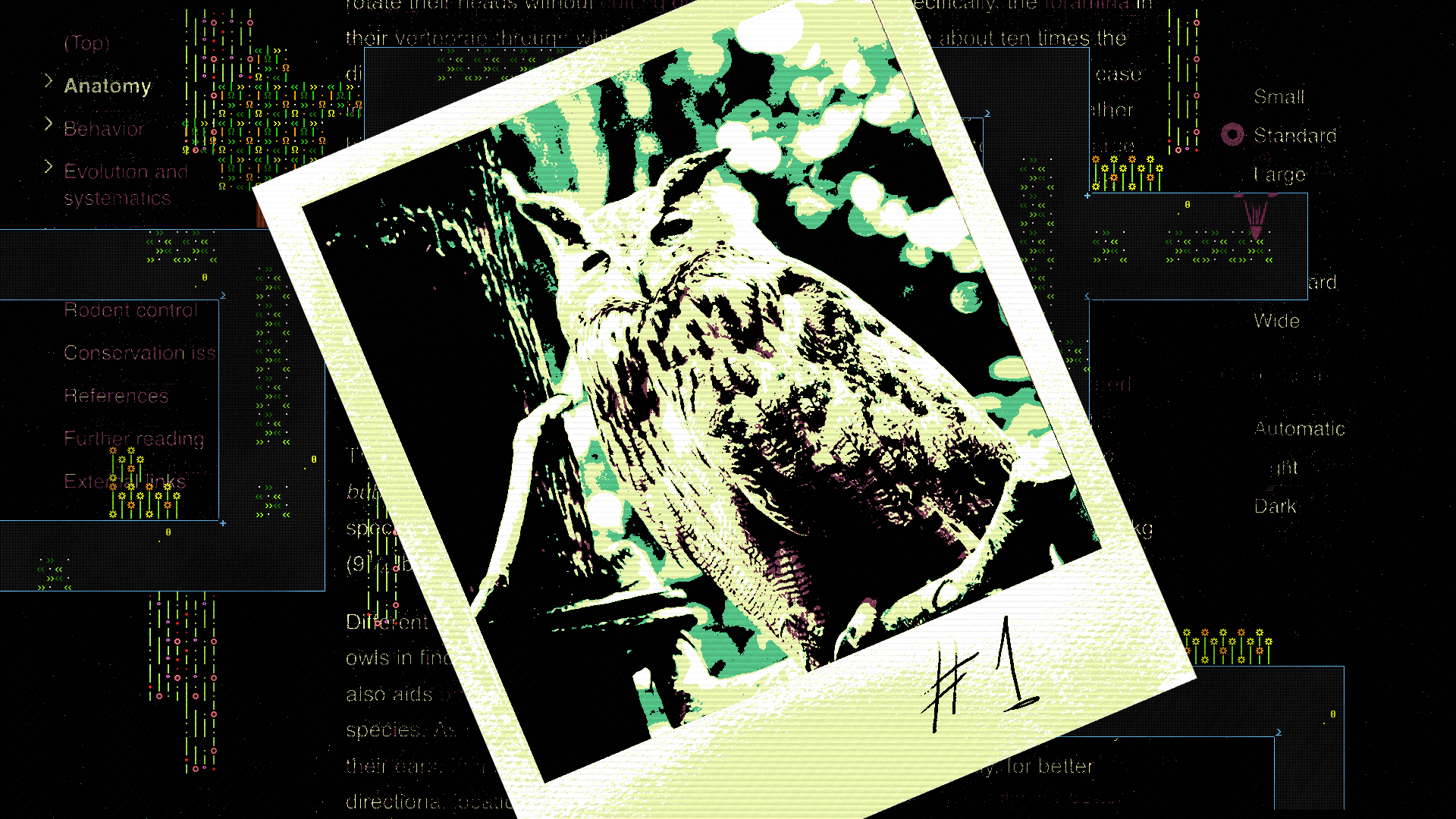 Screenshot 5 for Owl PictureS