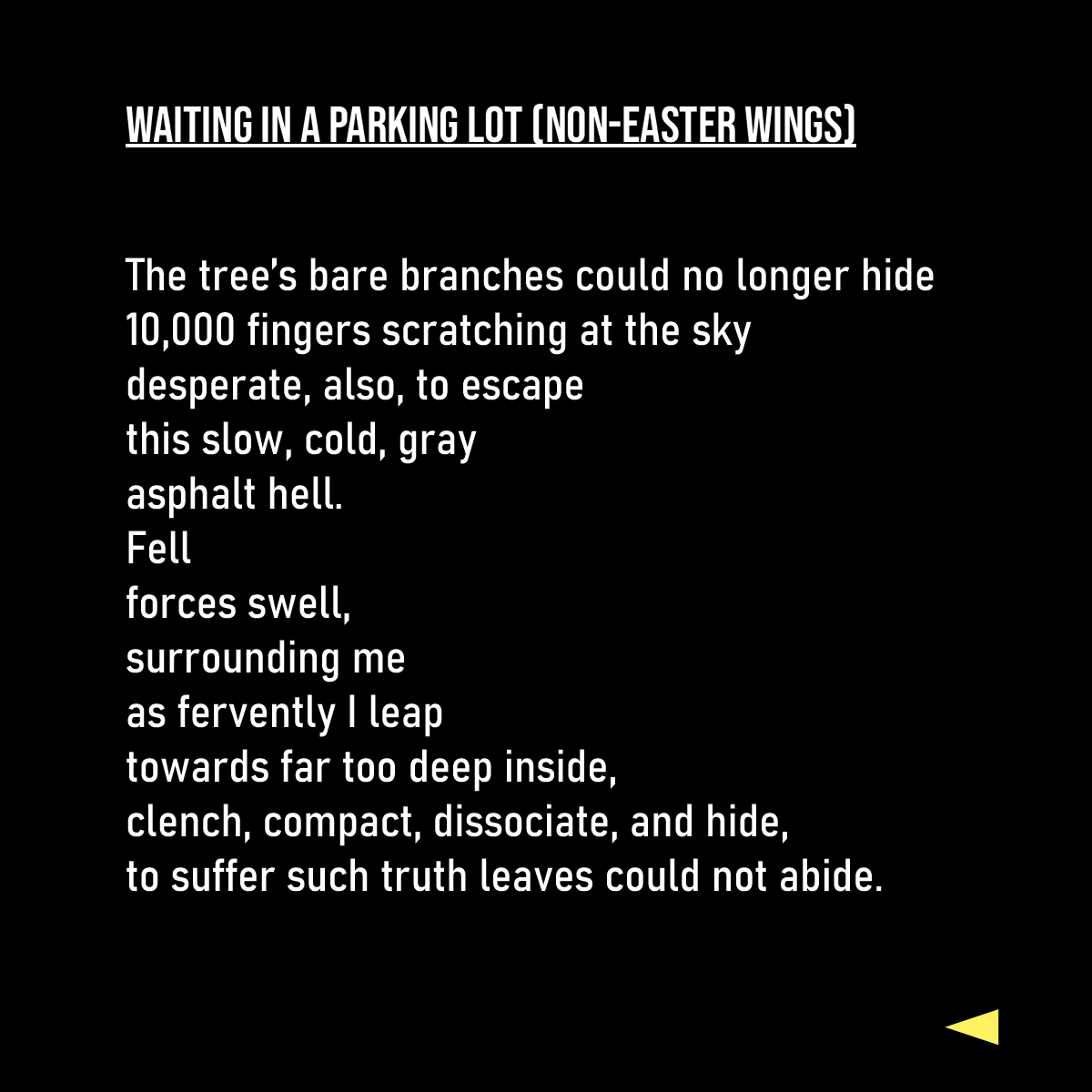 Screenshot 3 for They Don't Tell You