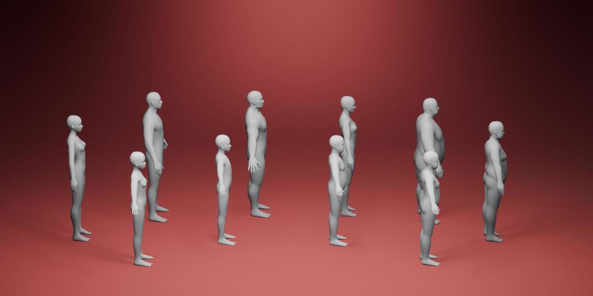 Realistic Human Body Base Mesh Pack – 10 Rigged 3D Models by 3DDisco