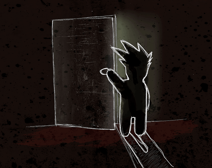 Cover image for One Fine Day