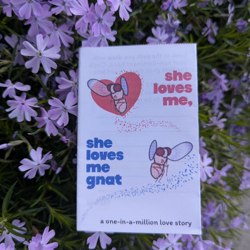 Screenshot 2 for She loves me, she loves me gnat