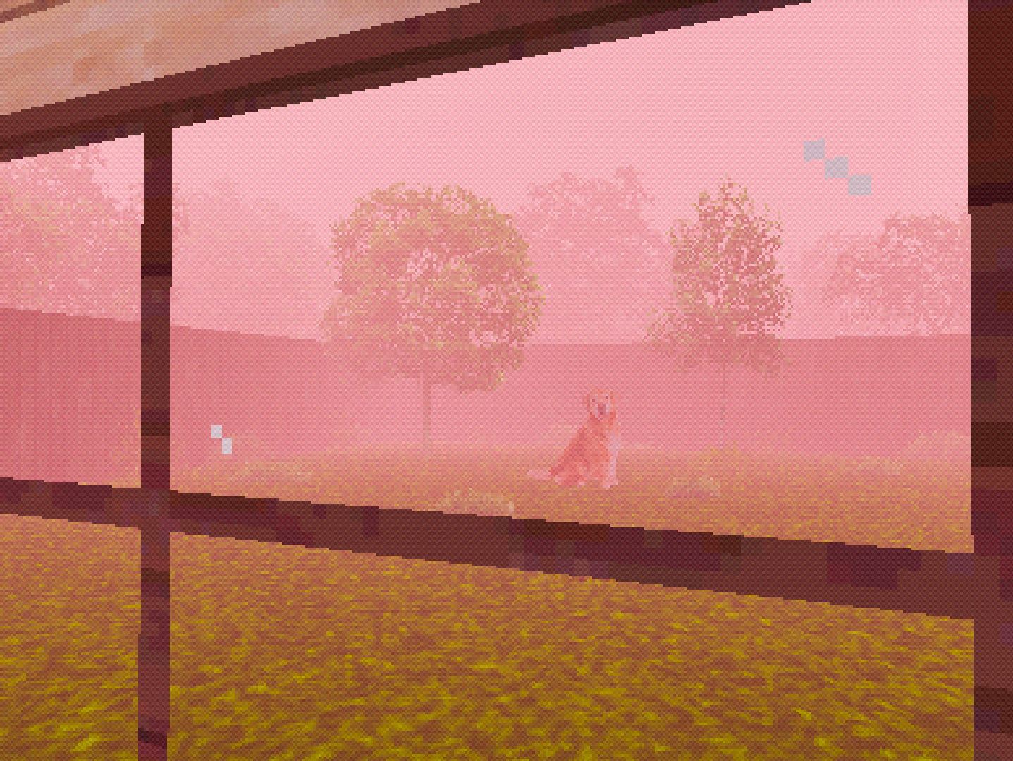 Screenshot 6 for TAKE CARE OF THE DOG