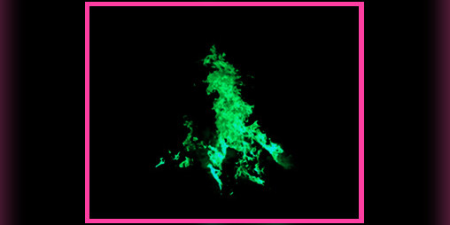 Cover image for Groove Club