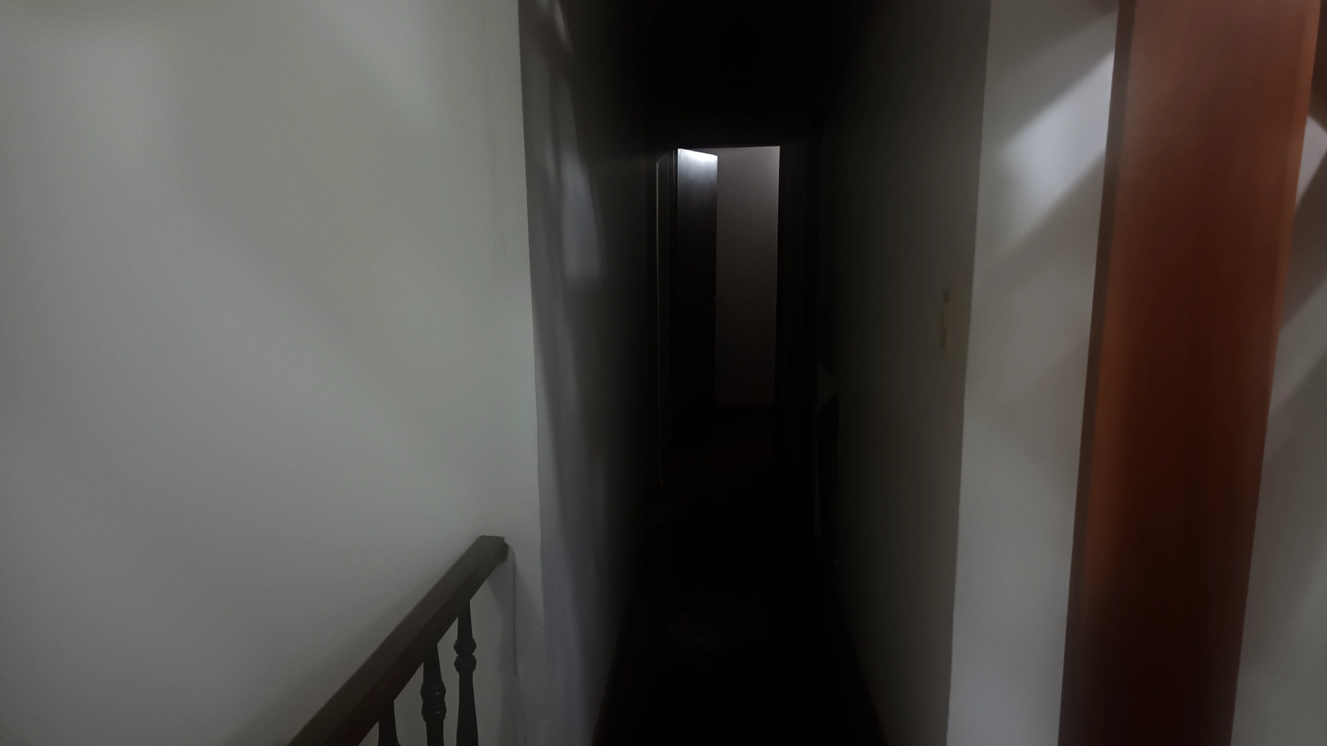 Screenshot 4 for Lucid Corpse