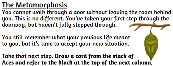 Screenshot 4 for Not To Be... The Metamorphosis