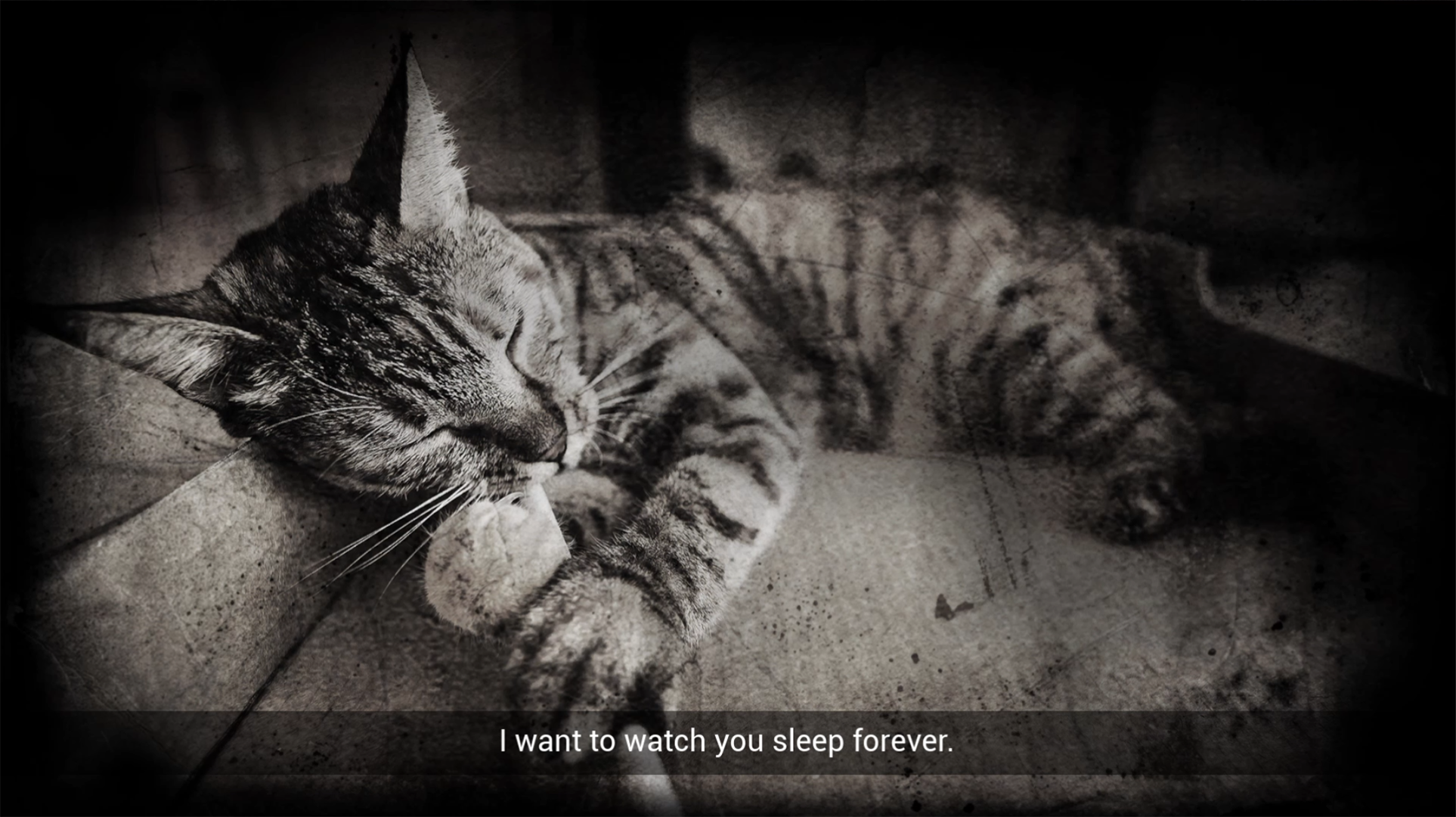Screenshot 7 for Meowmories