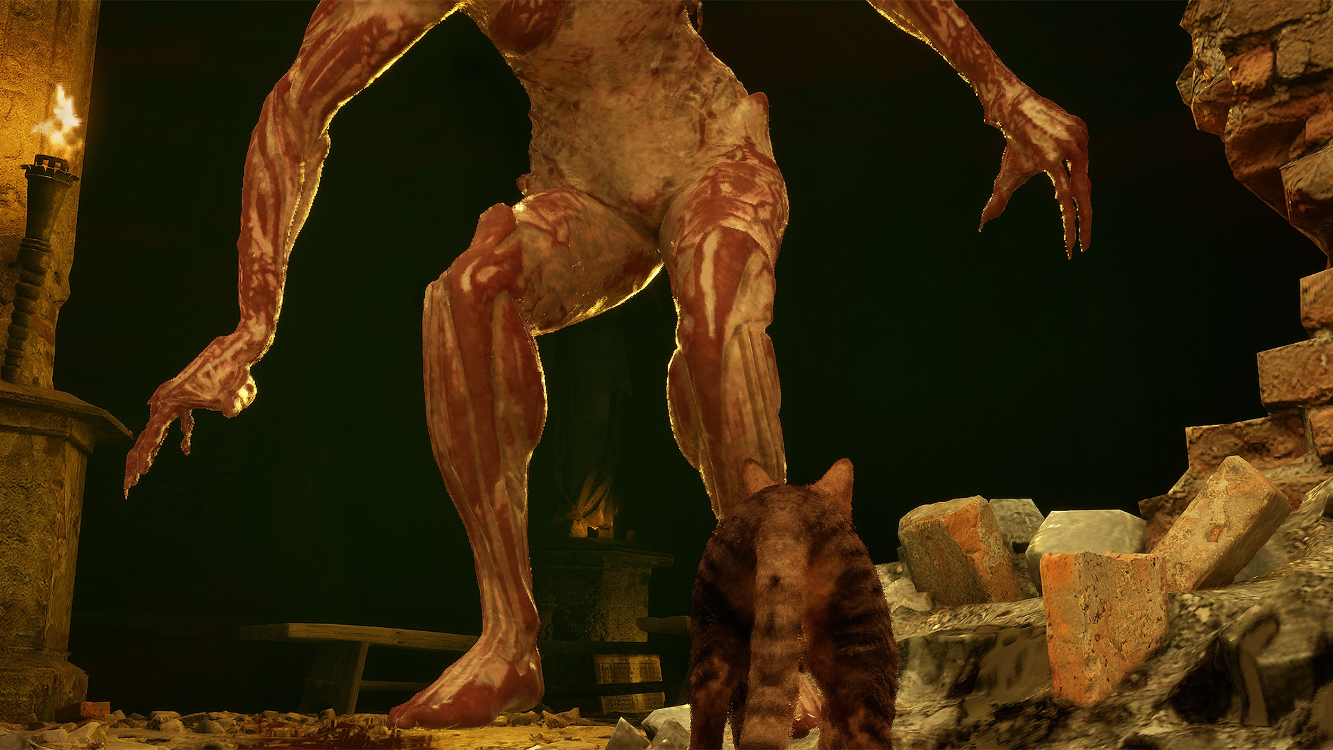 Screenshot 5 for Meowmories