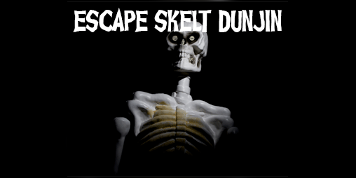 Cover image for Escape Skelt Dunjin
