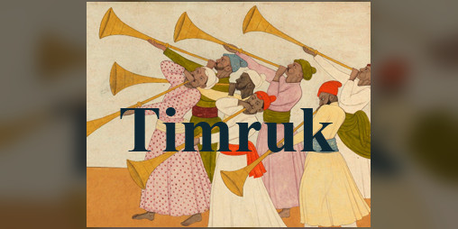 Cover image for Timruk