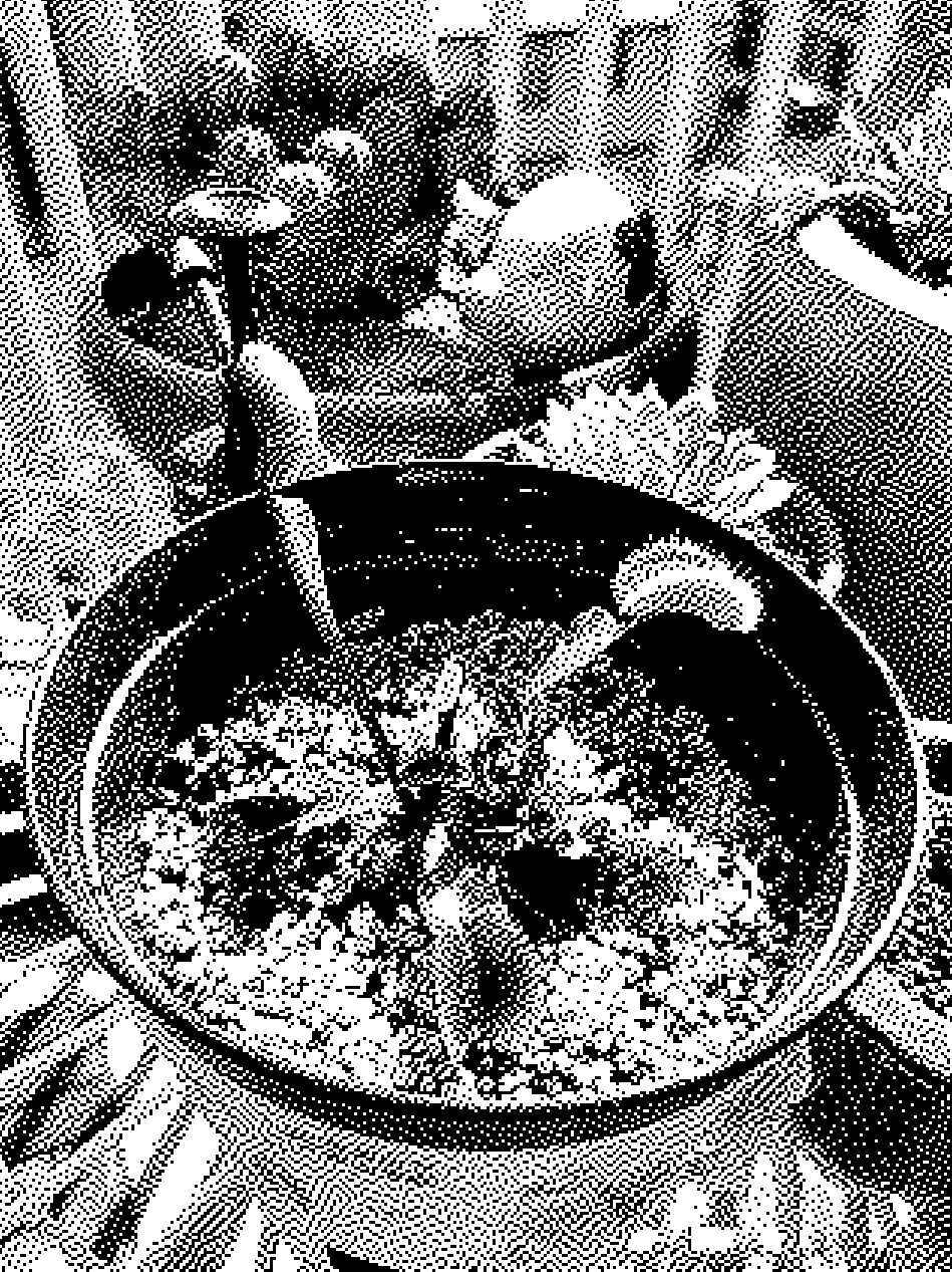 Screenshot 2 for 🪴 How To Care for Venus Flytraps