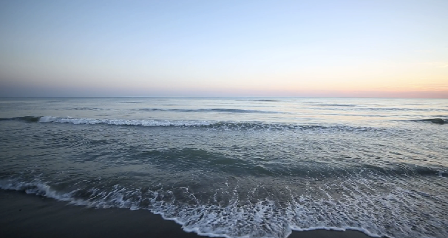 Screenshot 2 for Pogo and the ticket to the Sea