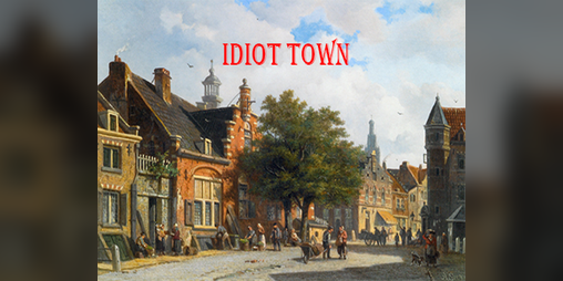 Cover image for Idiot Town