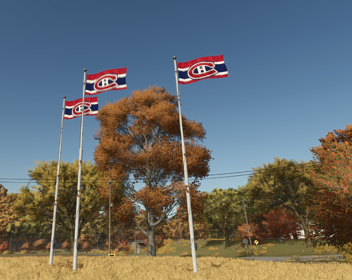 Screenshot 2 for Montreal Canadian Flag
