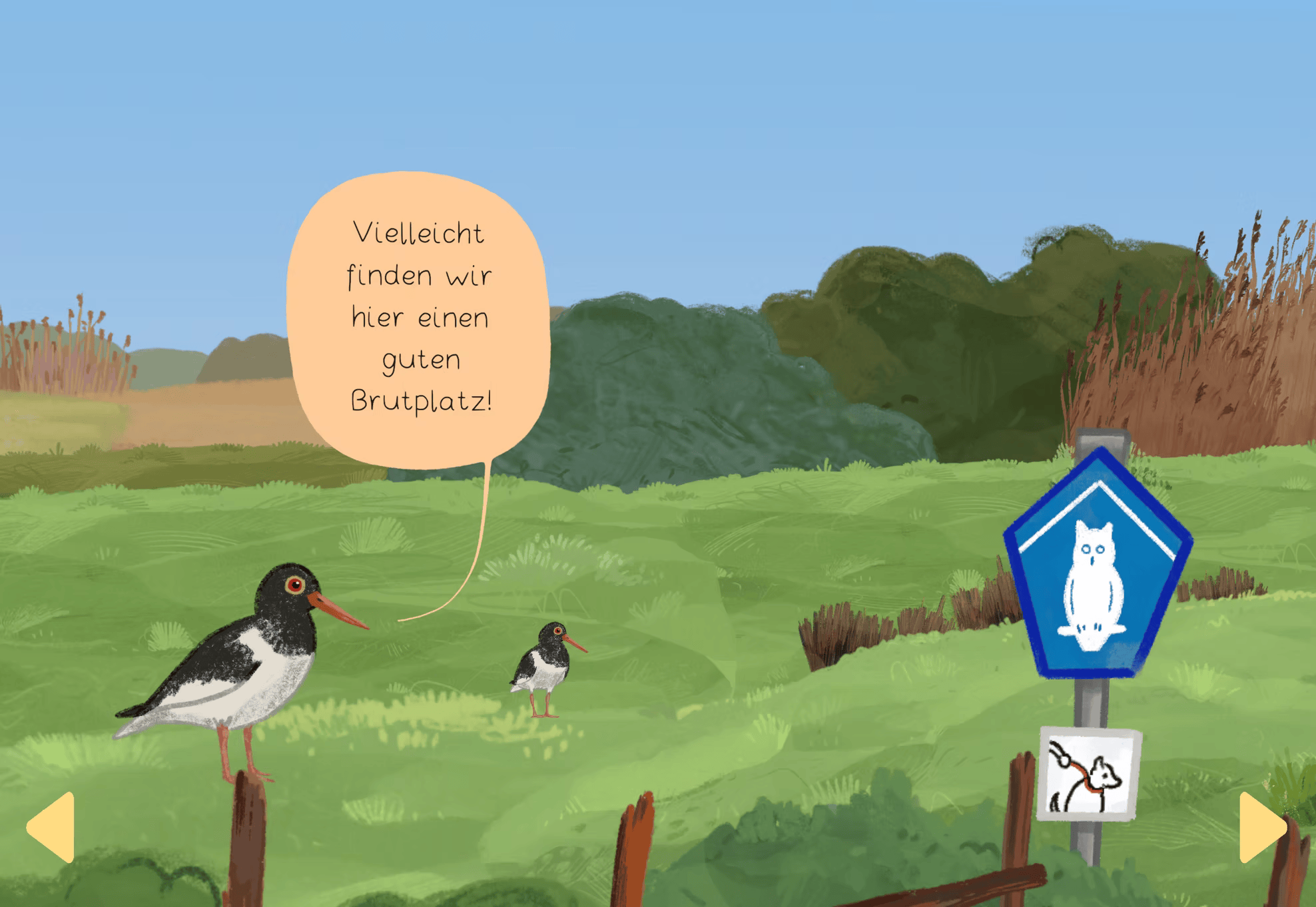 Screenshot 5 for Amsel Entdeckt | Das Wattenmeer