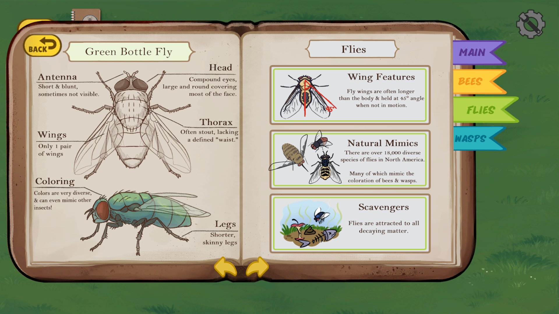 Screenshot 4 for Insect Inspect
