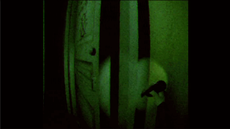 Screenshot 2 for Not Like Them — A PSX Horror Game[Chapter 2]