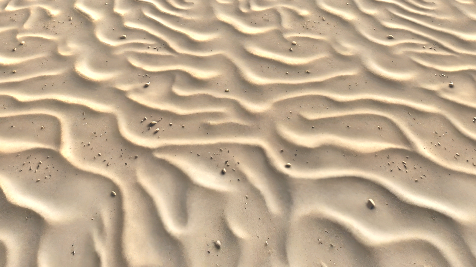 Realistic Textures – Vol 17 – Sand by oleekconder