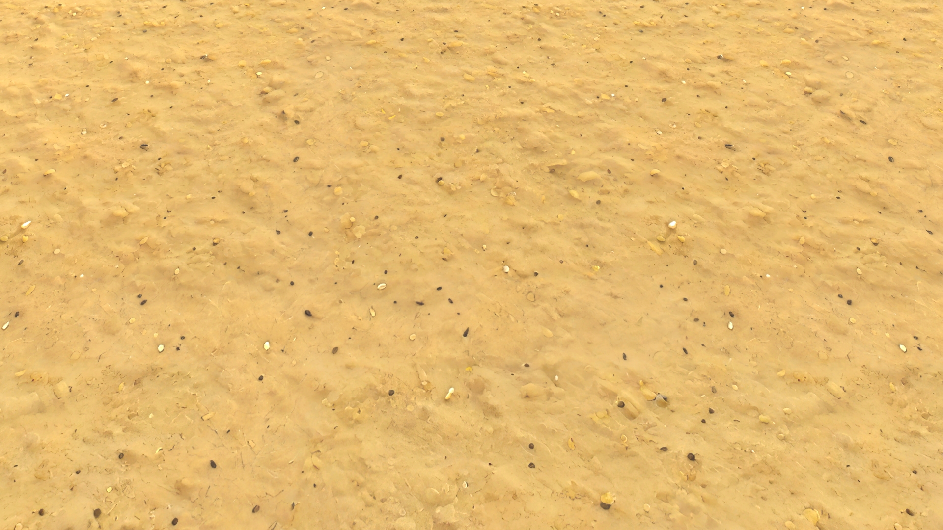 Realistic Textures – Vol 19 – Sand by oleekconder