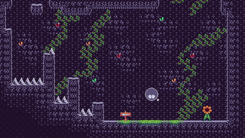 Screenshot 2 for Flowers Of The Sun