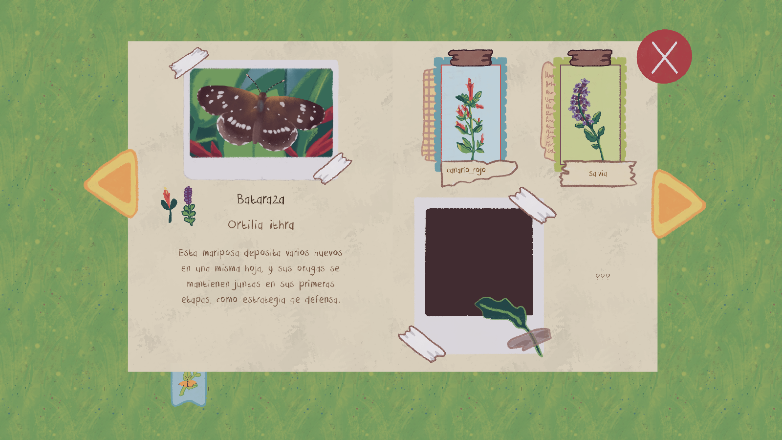 Screenshot 6 for El Jardín de Pillpi