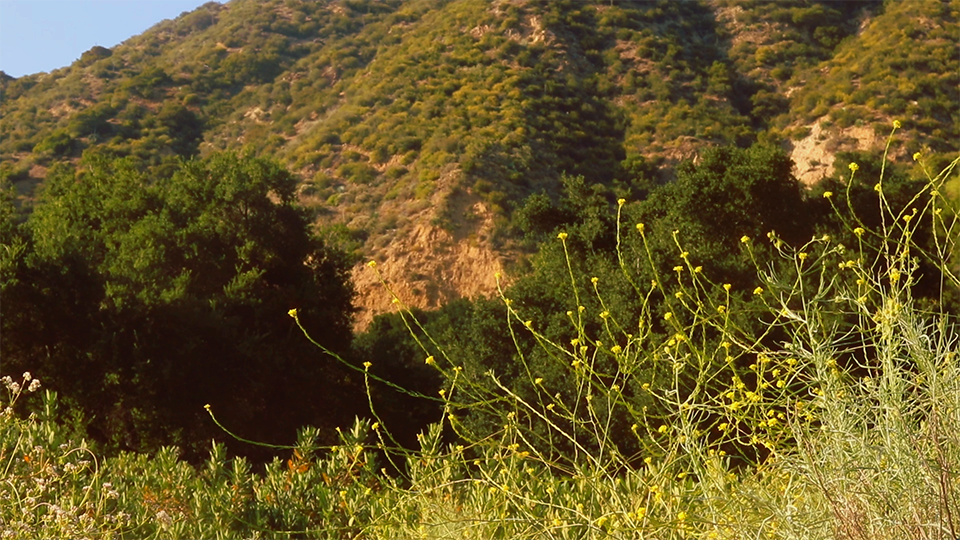 Screenshot 2 for Creek Samba