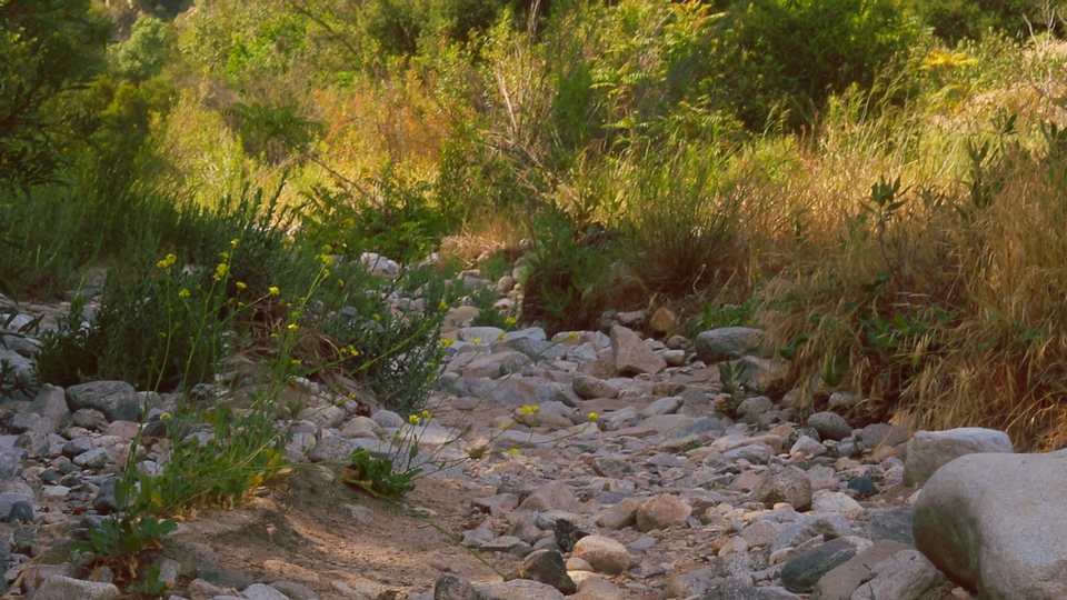 Screenshot 5 for Creek Samba