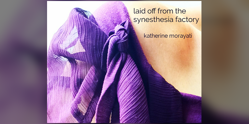 Cover image for Laid Off from the Synesthesia Factory
