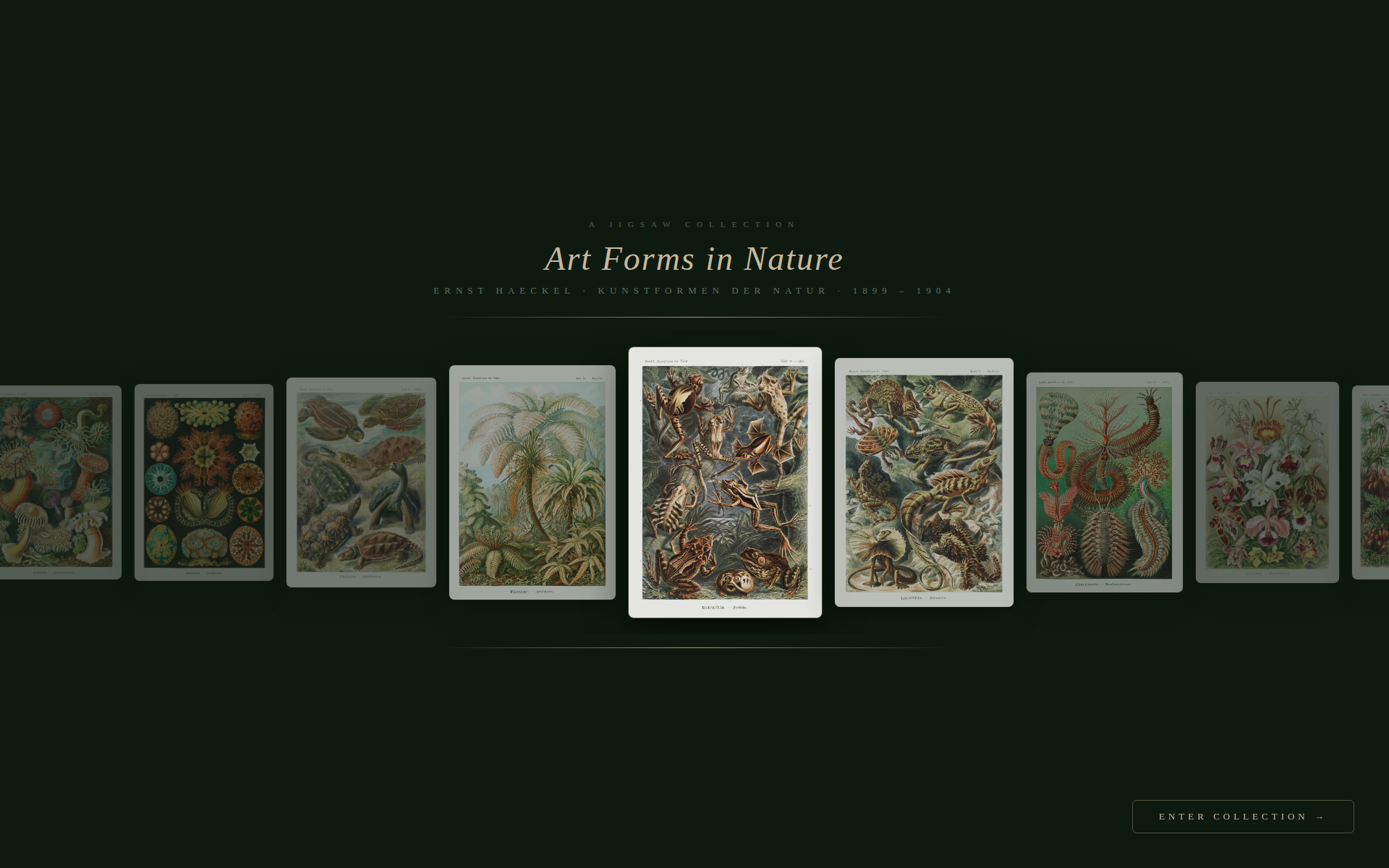 Screenshot 2 for Art Forms in Nature: Jigsaw Puzzles