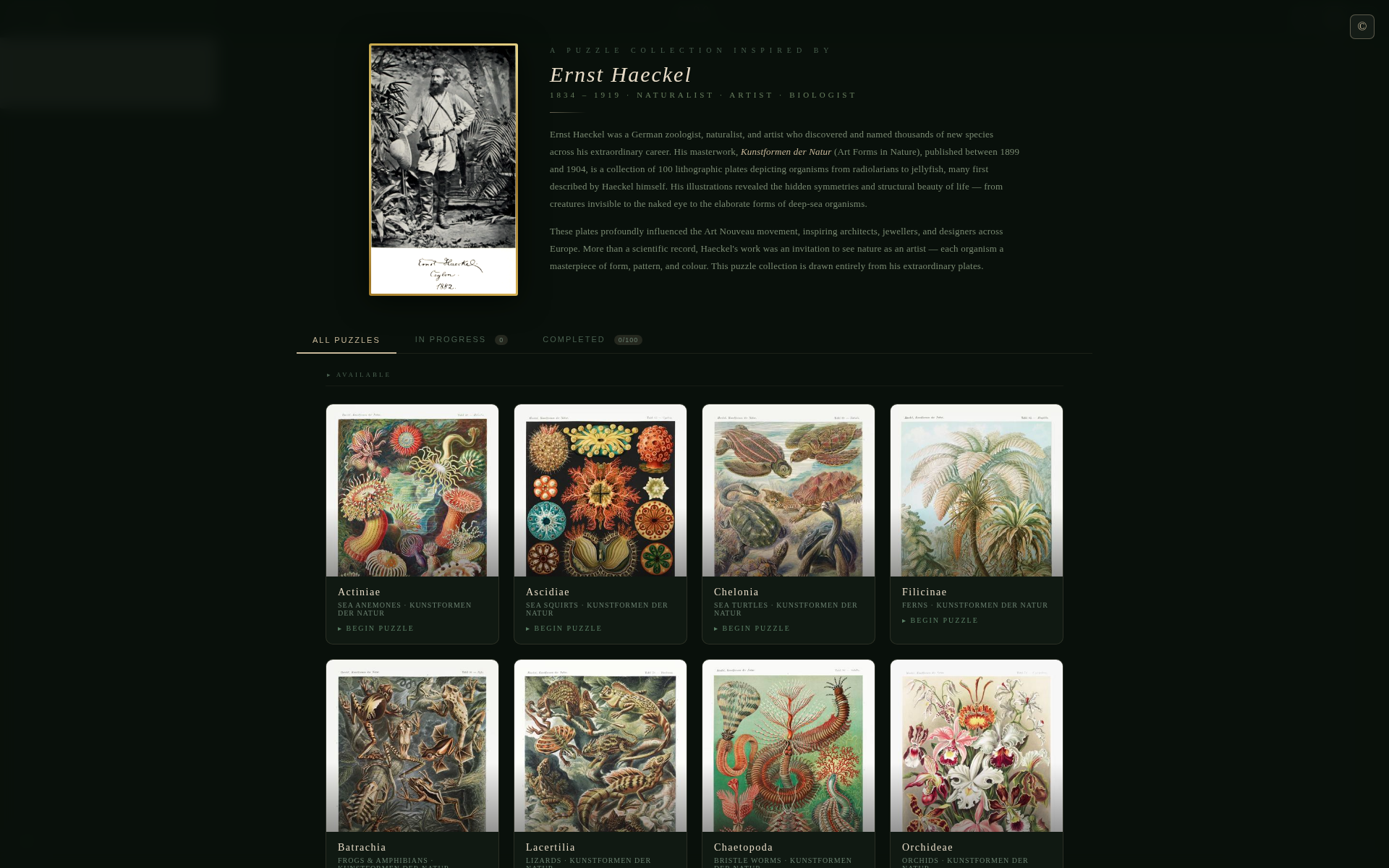 Screenshot 3 for Art Forms in Nature: Jigsaw Puzzles