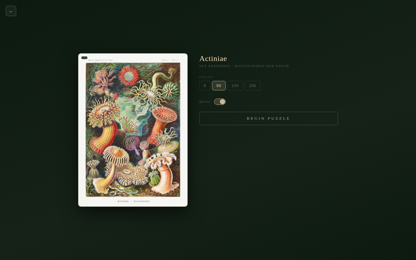 Screenshot 5 for Art Forms in Nature: Jigsaw Puzzles
