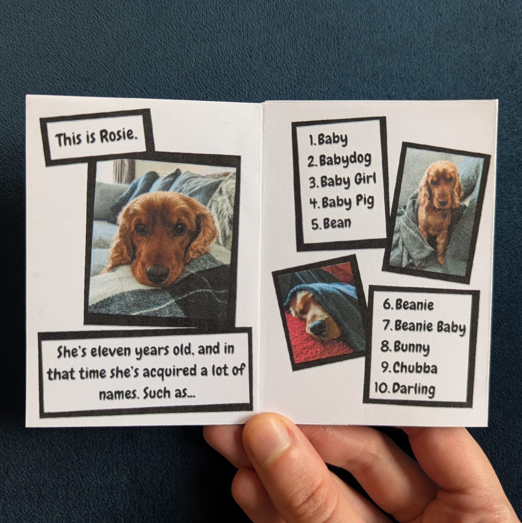 Screenshot 3 for 60 Things We Call Our Dog That Are NOT Her Name Zine