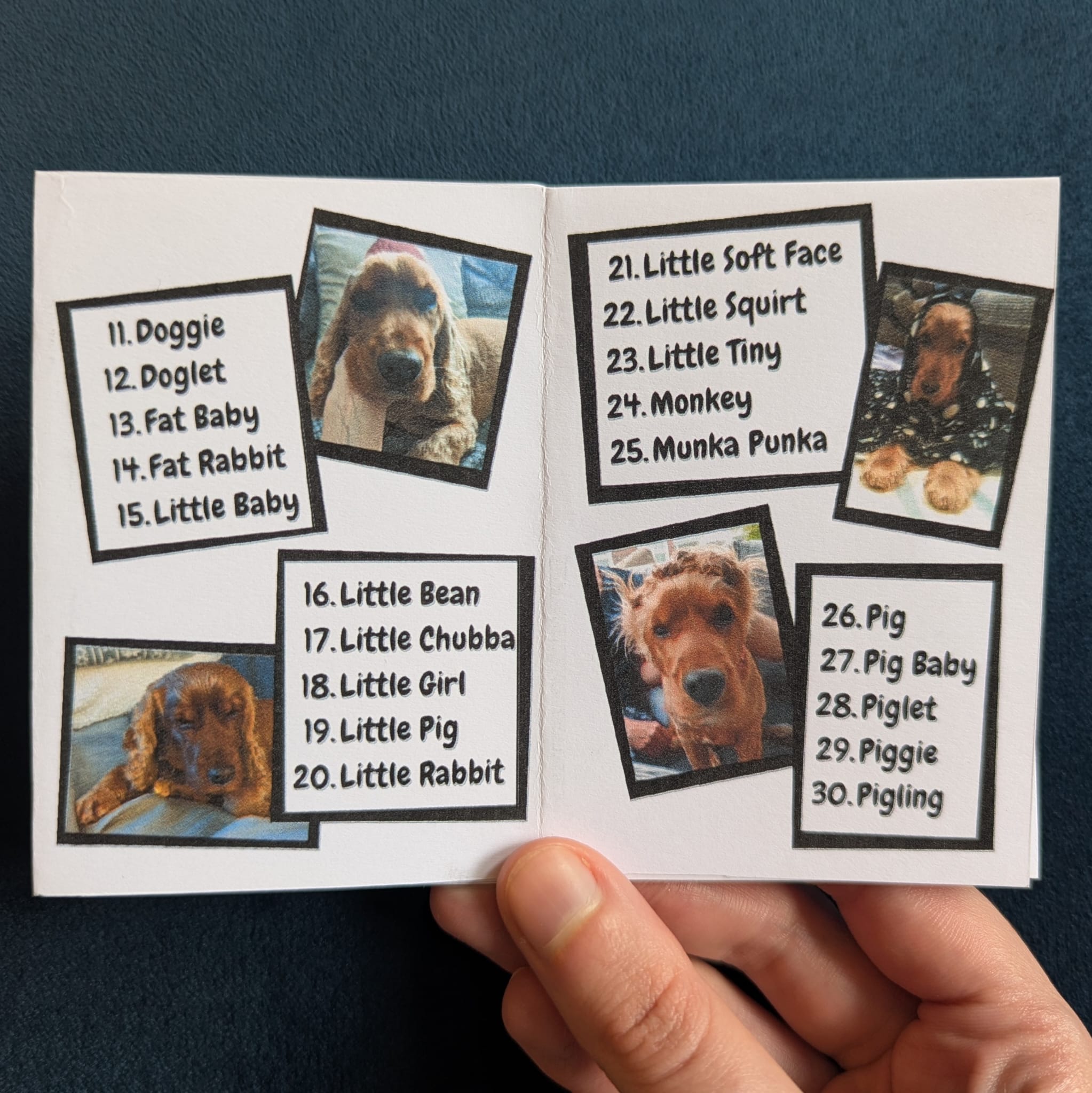 Screenshot 4 for 60 Things We Call Our Dog That Are NOT Her Name Zine