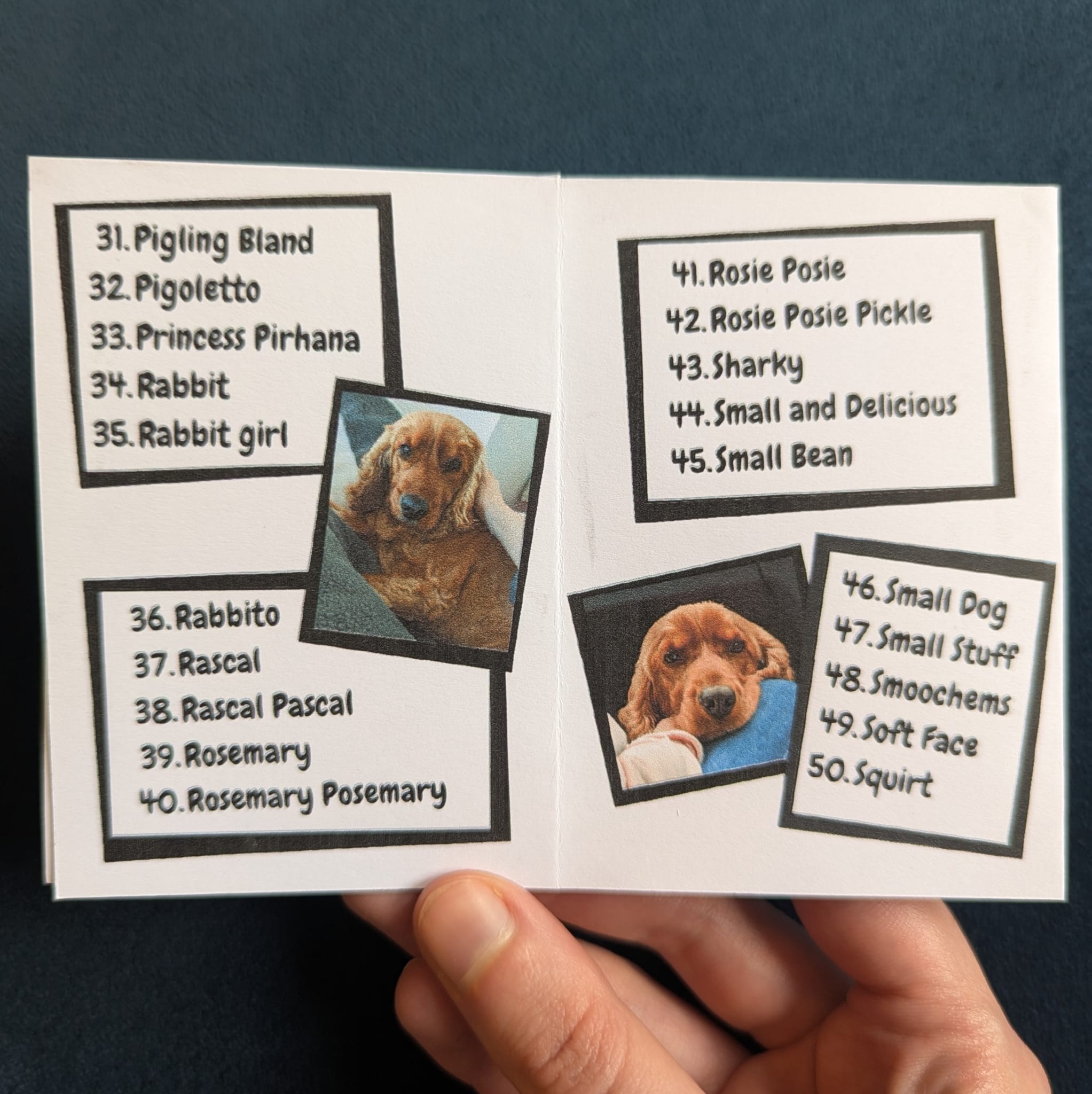 Screenshot 5 for 60 Things We Call Our Dog That Are NOT Her Name Zine