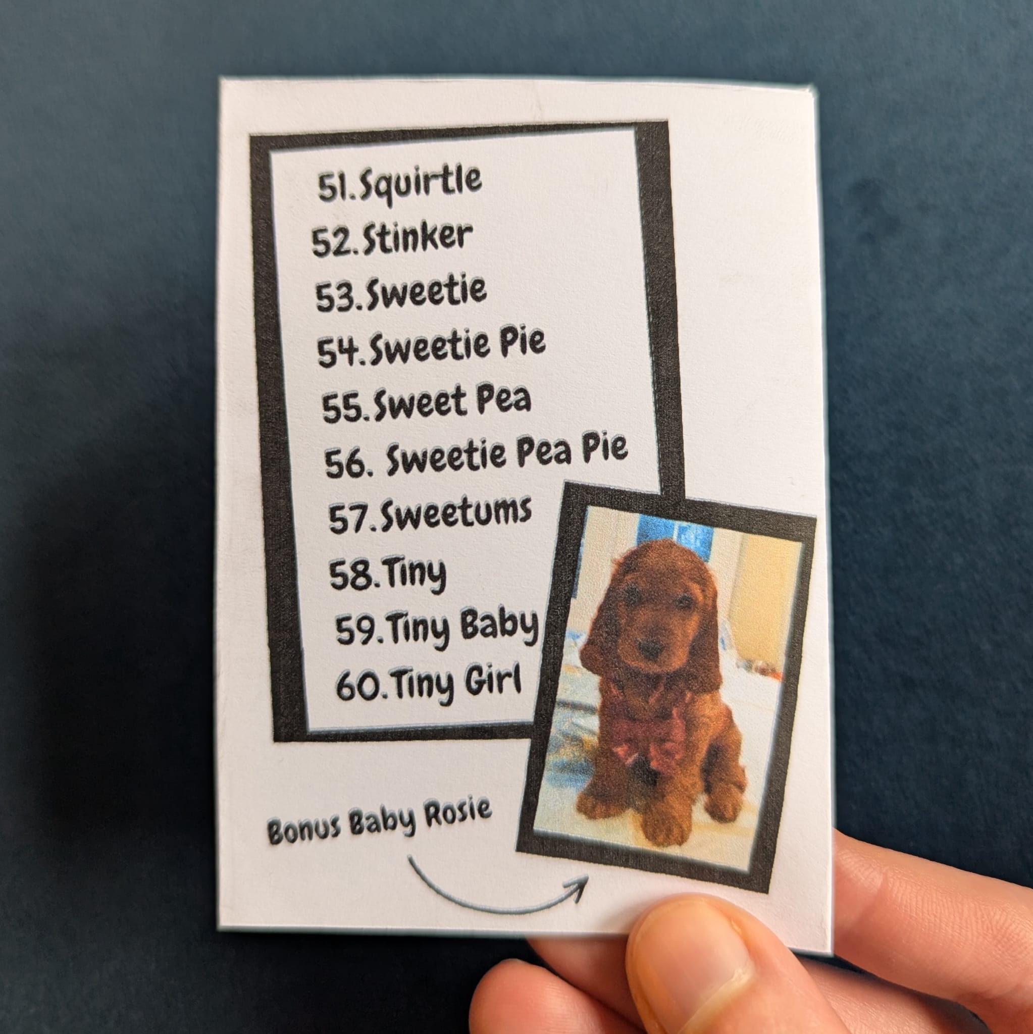 Screenshot 6 for 60 Things We Call Our Dog That Are NOT Her Name Zine