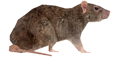 Screenshot 2 for Annoying Ratus