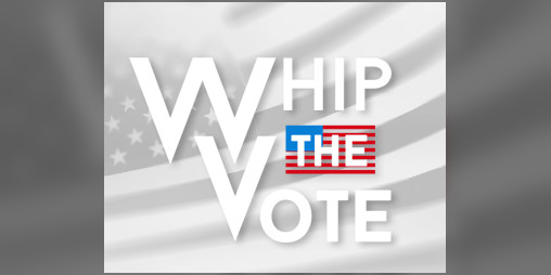 Cover image for Whip the Vote