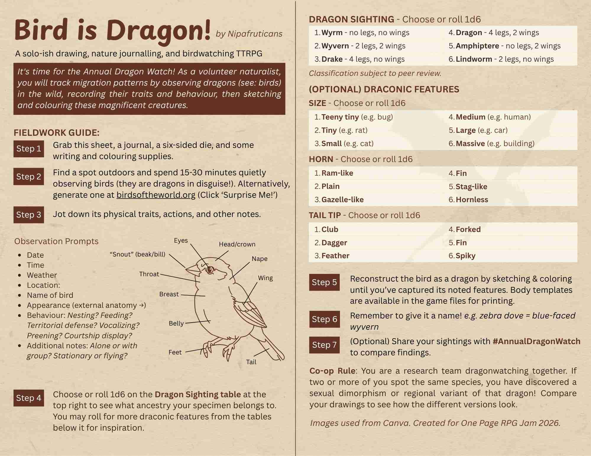 Screenshot 2 for Bird is Dragon!
