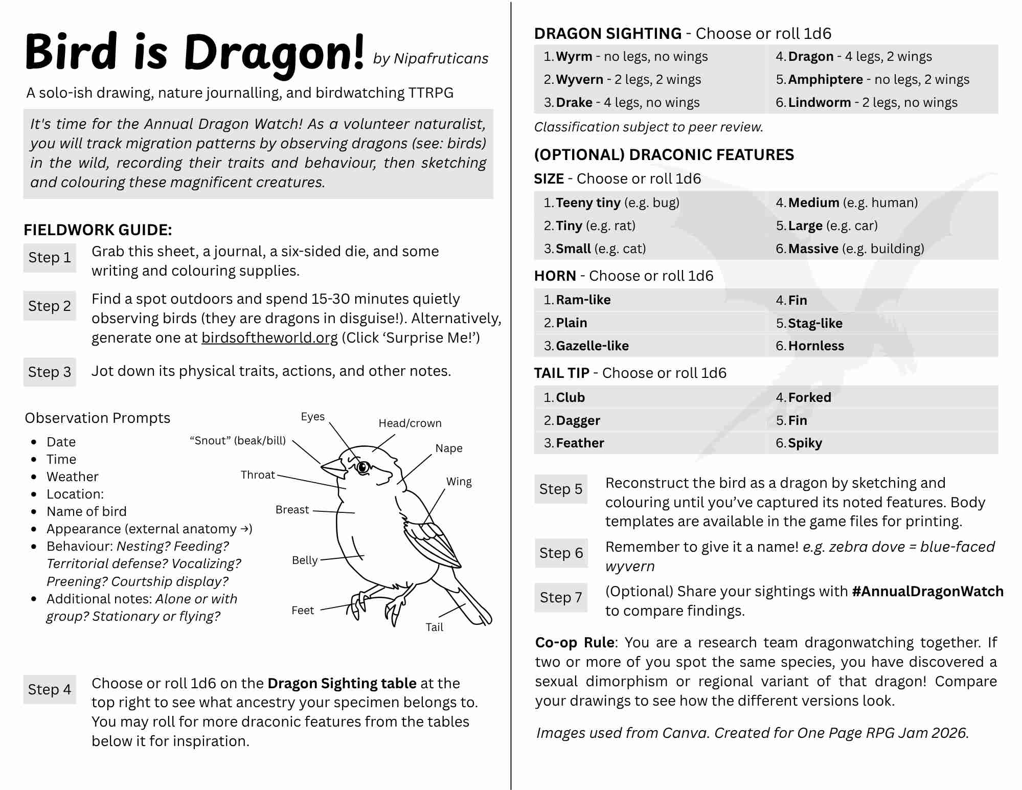 Screenshot 3 for Bird is Dragon!