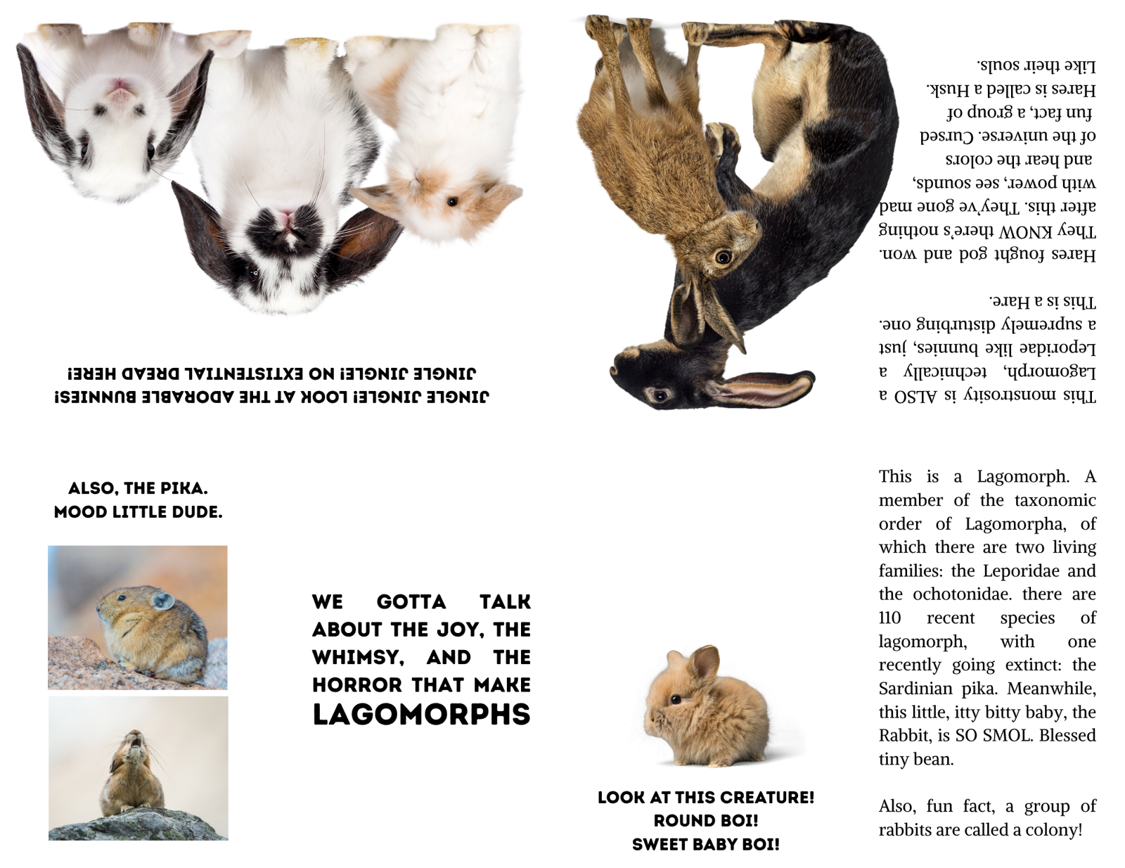 Screenshot 3 for Lagomorph Zine