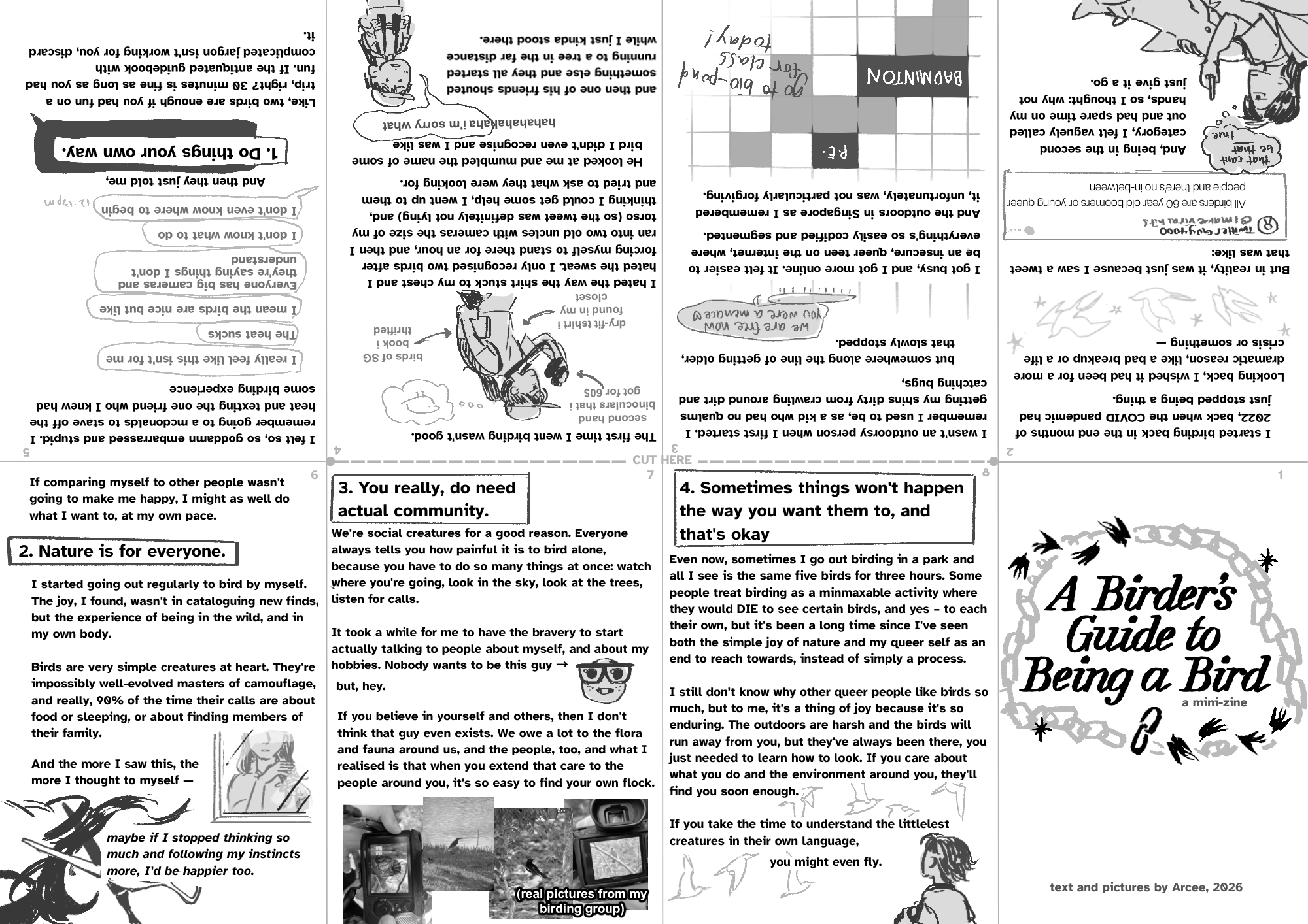 Screenshot 2 for A Birder's Guide to Being a Bird