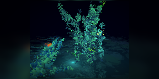 Cover image for naïade