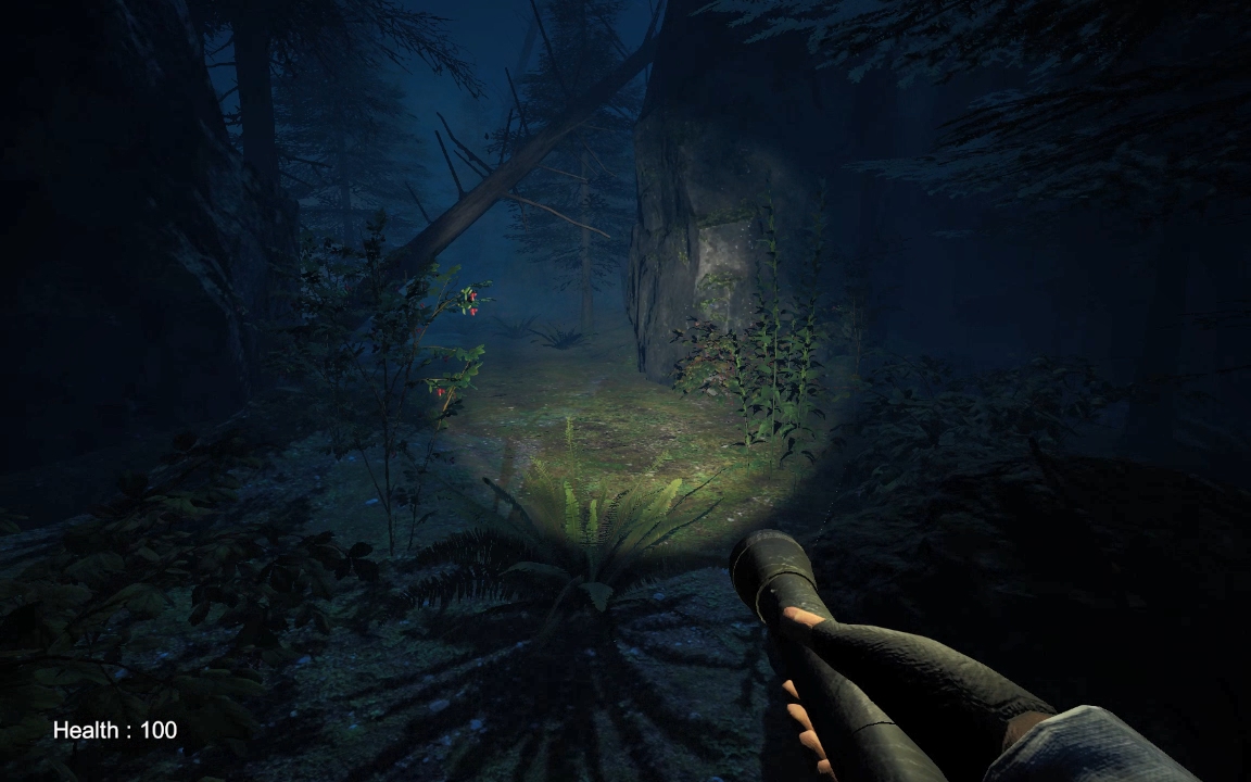 Screenshot 2 for Silent Fogs: Echoes of Evil