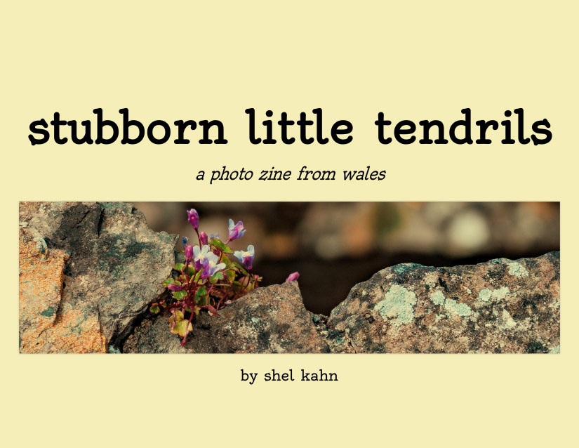 Screenshot 2 for stubborn little tendrils