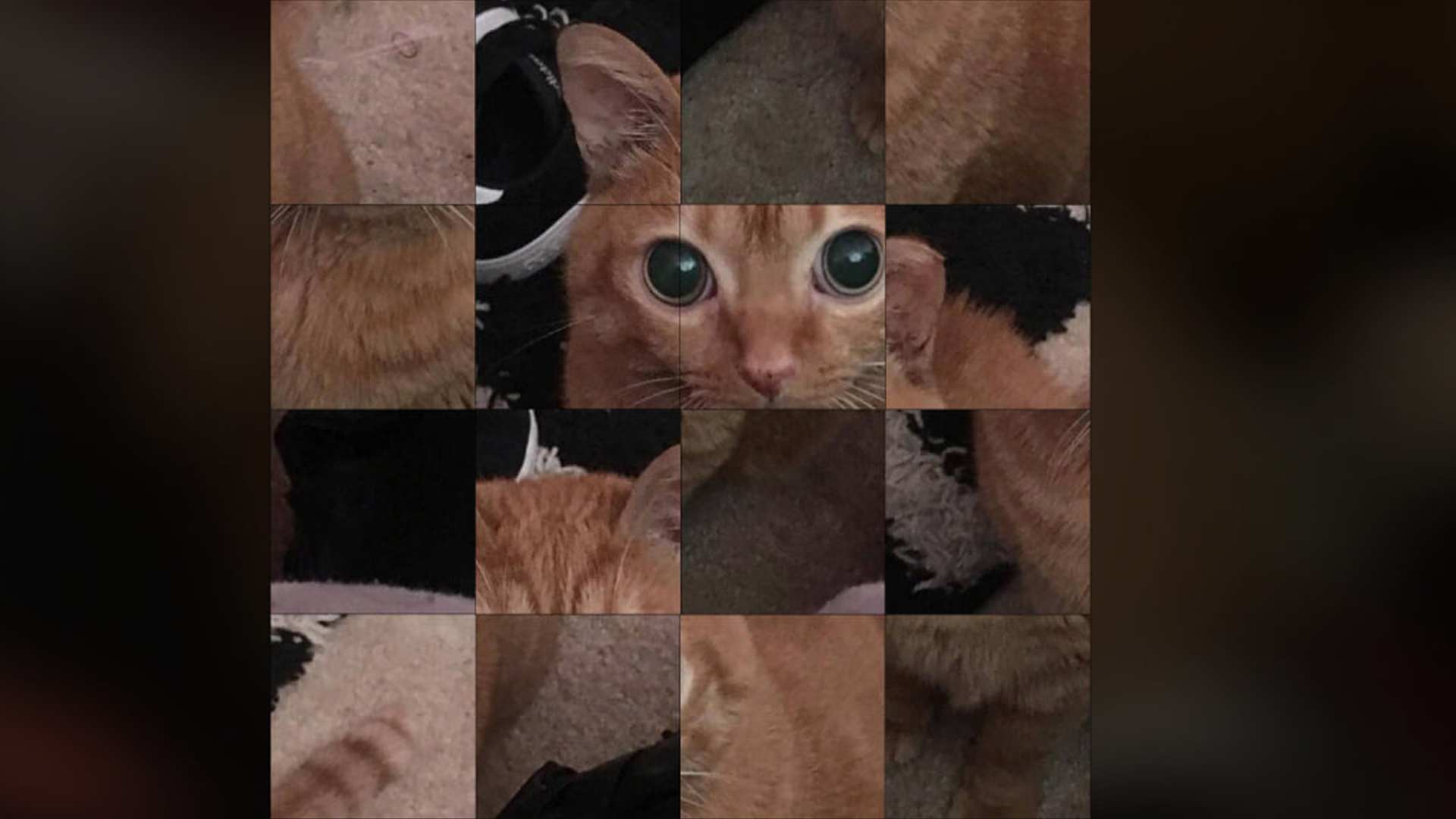 Screenshot 4 for Catato The Puzzle