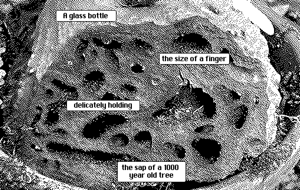 Screenshot 3 for saltbloodbruise