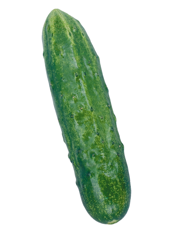 Screenshot 3 for Zundamon challenges you to eat a pickle
